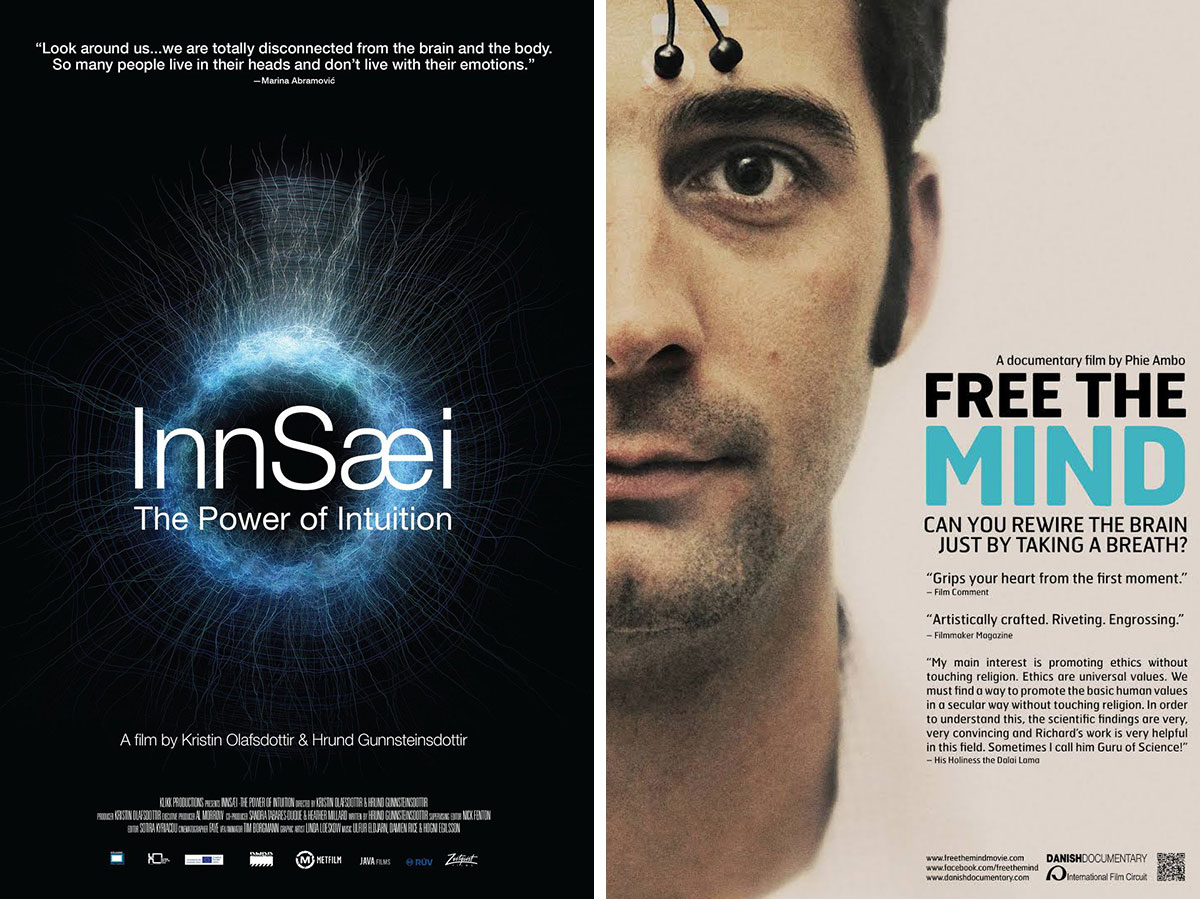Documentarios Innsaei Free The Mind